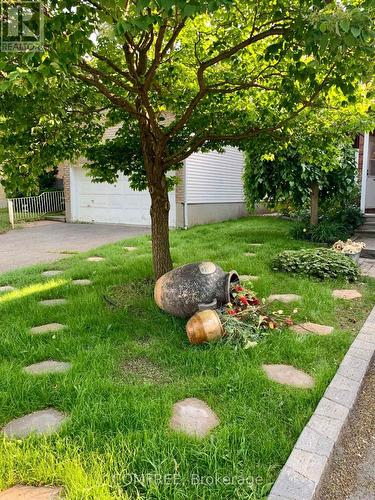 152 Twyford Street, Ottawa, ON - Outdoor