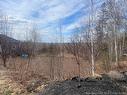 37 Whisperwood Dr, Fredericton, NB 