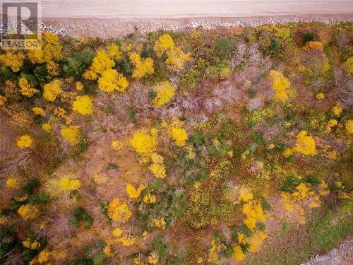 Lot 7 Adventure Drive, Hughes Brook, NL 