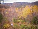 Lot 7 Adventure Drive, Hughes Brook, NL 