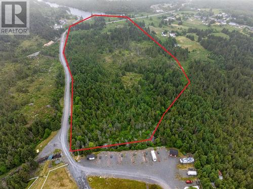 0 Droghedea Road, South River, NL 