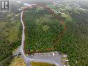 0 Droghedea Road, South River, NL 