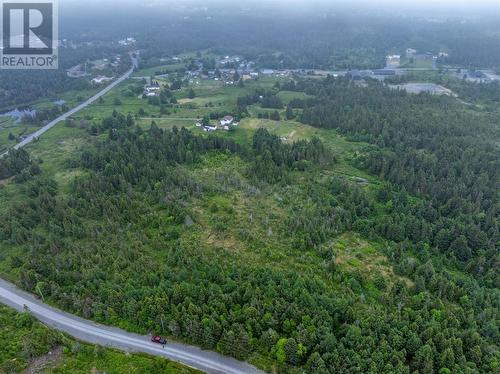 0 Droghedea Road, South River, NL 