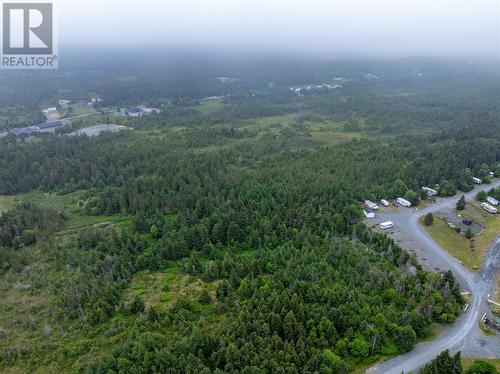 0 Droghedea Road, South River, NL 