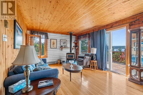 361 School Road, Tors Cove, NL - Indoor Photo Showing Living Room With Fireplace