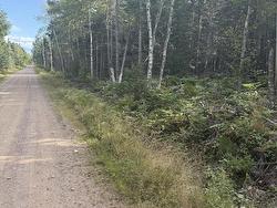 Lot BM-39 Portapique Crescent  Portapique, NS B0N 1B0