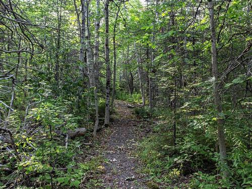 Lot Ben Phinney Road, Forest Glade, NS 