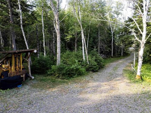 Lot Ben Phinney Road, Forest Glade, NS 