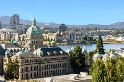 904-647 Michigan St  Victoria, BC V8V 1S9