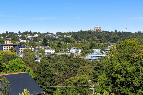 904-647 Michigan St, Victoria, BC - Outdoor With View