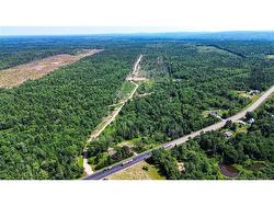 Lot Route 10  Coles Island, NB O0O 0O0