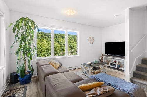 Salon - 1080Z  - 1082Z Ch. Du Grand-Ruisseau, Saint-Sauveur, QC - Indoor Photo Showing Living Room