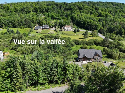 Vue - 1080Z  - 1082Z Ch. Du Grand-Ruisseau, Saint-Sauveur, QC - Outdoor