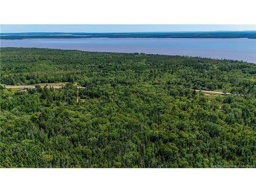 Woodlot Route 935, Rockport, NB 