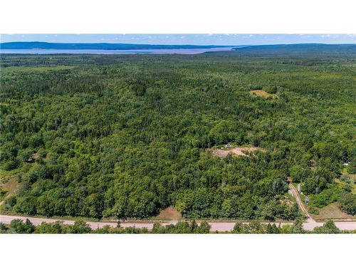 Woodlot Route 935, Rockport, NB 