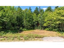 Woodlot Route 935  Rockport, NB E4K 3N1