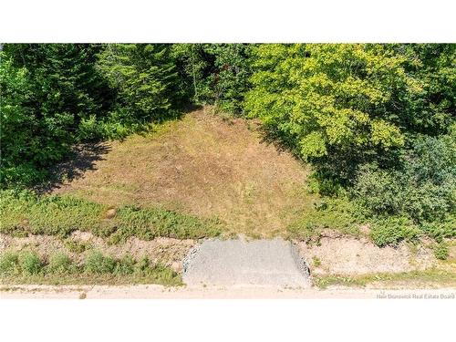 Woodlot Route 935, Rockport, NB 