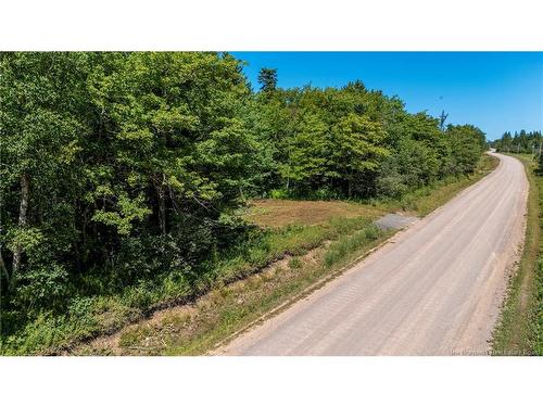 Woodlot Route 935, Rockport, NB 