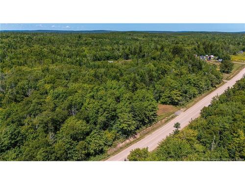 Woodlot Route 935, Rockport, NB 