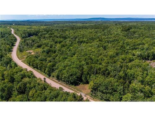 Woodlot Route 935, Rockport, NB 