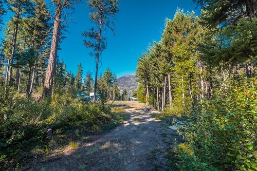 4431 Lakeview Road, Lillooet, BC - Outdoor With View