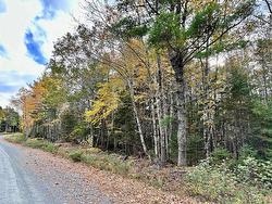 36 Acres Mill Village East Road Charleston, NS B0J 2H0