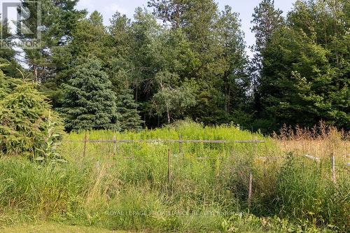 3314 Flinton Road, Addington Highlands, ON - Outdoor