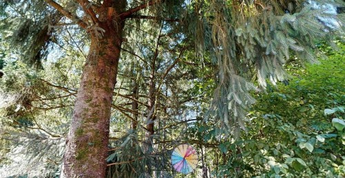 111-2860 Sooke Lake Rd, Langford, BC 