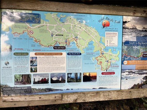 202-596 Marine Dr, Ucluelet, BC - 