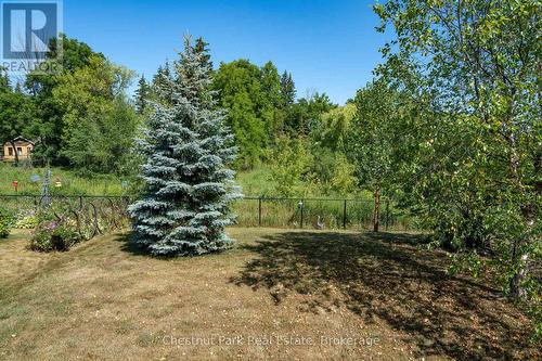 Landscaped partially fenced back yard - 77 Findlay Drive, Collingwood, ON - Outdoor