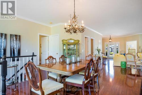 Open floor plan dining kitchen and living rooms - 77 Findlay Drive, Collingwood, ON - Indoor Photo Showing Dining Room