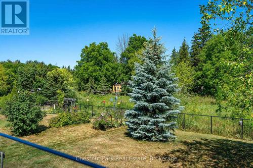 View to the greenspace and storm mgmt pond - 77 Findlay Drive, Collingwood, ON - Outdoor