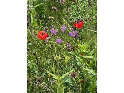 1750 Westside Road N Lot# 3, Kelowna, BC 