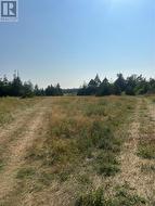 0 Beaver pond Road Road  Roaches Line, NL A0A 1W0