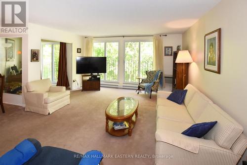 208 - 1111 Water Street, Peterborough (Northcrest Ward 5), ON - Indoor Photo Showing Living Room
