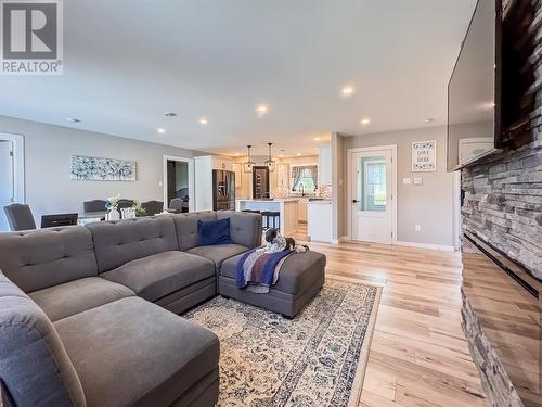 120 Pioneer Drive, Winterland, NL - Indoor Photo Showing Living Room