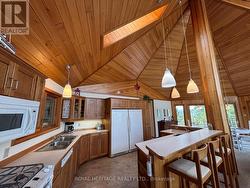 Vaulted Ceilings and Skylights - 