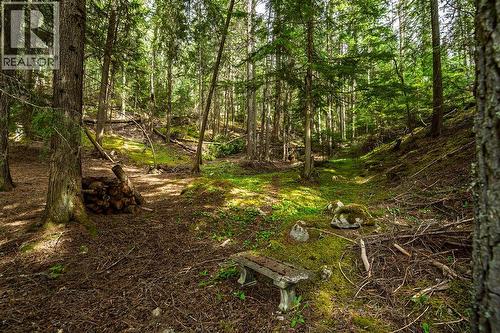 4225 3A Highway, Nelson, BC - Outdoor With View