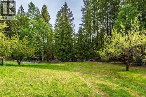 4225 3A Highway, Nelson, BC - Outdoor
