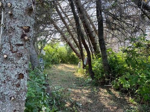 154 Charlottes Shore Lane, Tracadie Cross, PE 