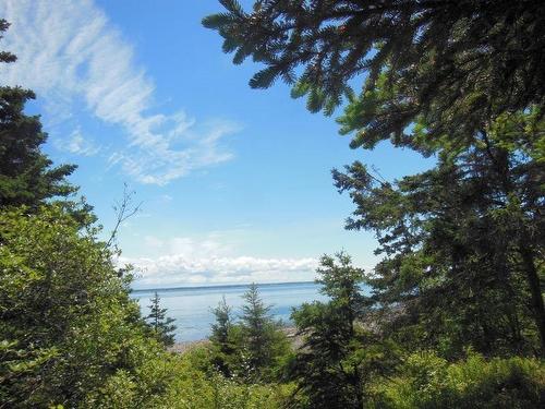 #217 Highway, Tiddville, NS 