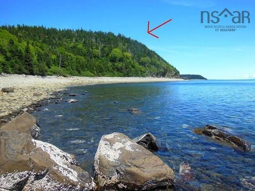 #217 Highway, Tiddville, NS 