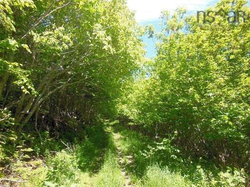 #217 Highway, Tiddville, NS 