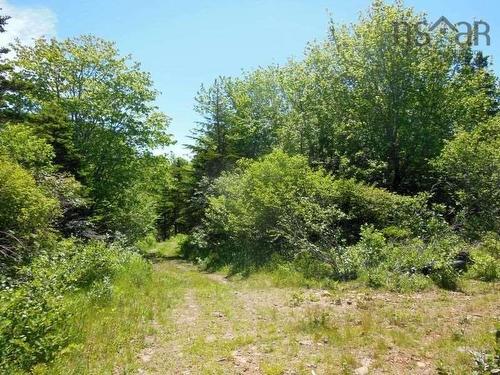 #217 Highway, Tiddville, NS 