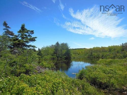 #217 Highway, Tiddville, NS 