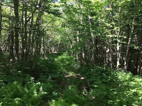 #217 Highway, Tiddville, NS 