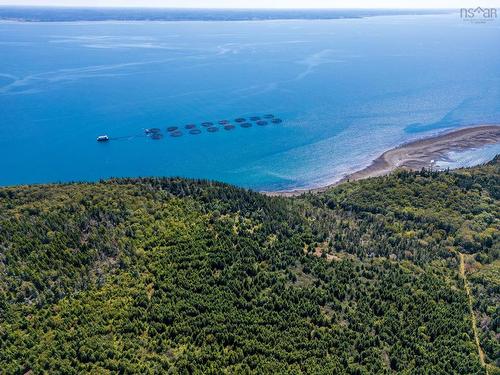 #217 Highway, Tiddville, NS 