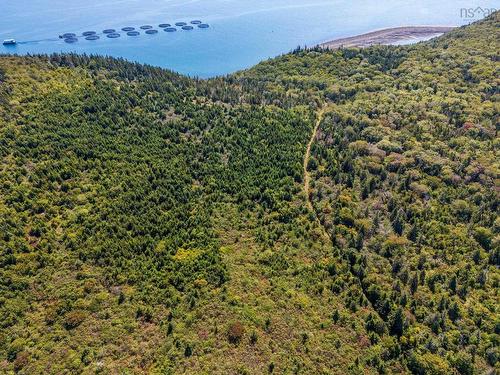 #217 Highway, Tiddville, NS 