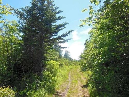#217 Highway, Tiddville, NS 