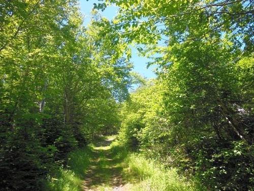 #217 Highway, Tiddville, NS 